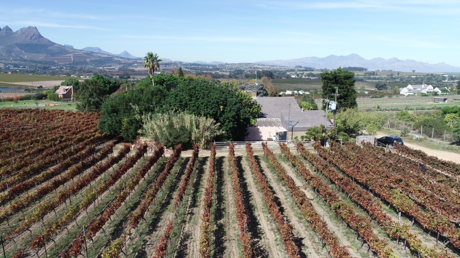 3 Bedroom Property for Sale in Stellenbosch Farms Western Cape